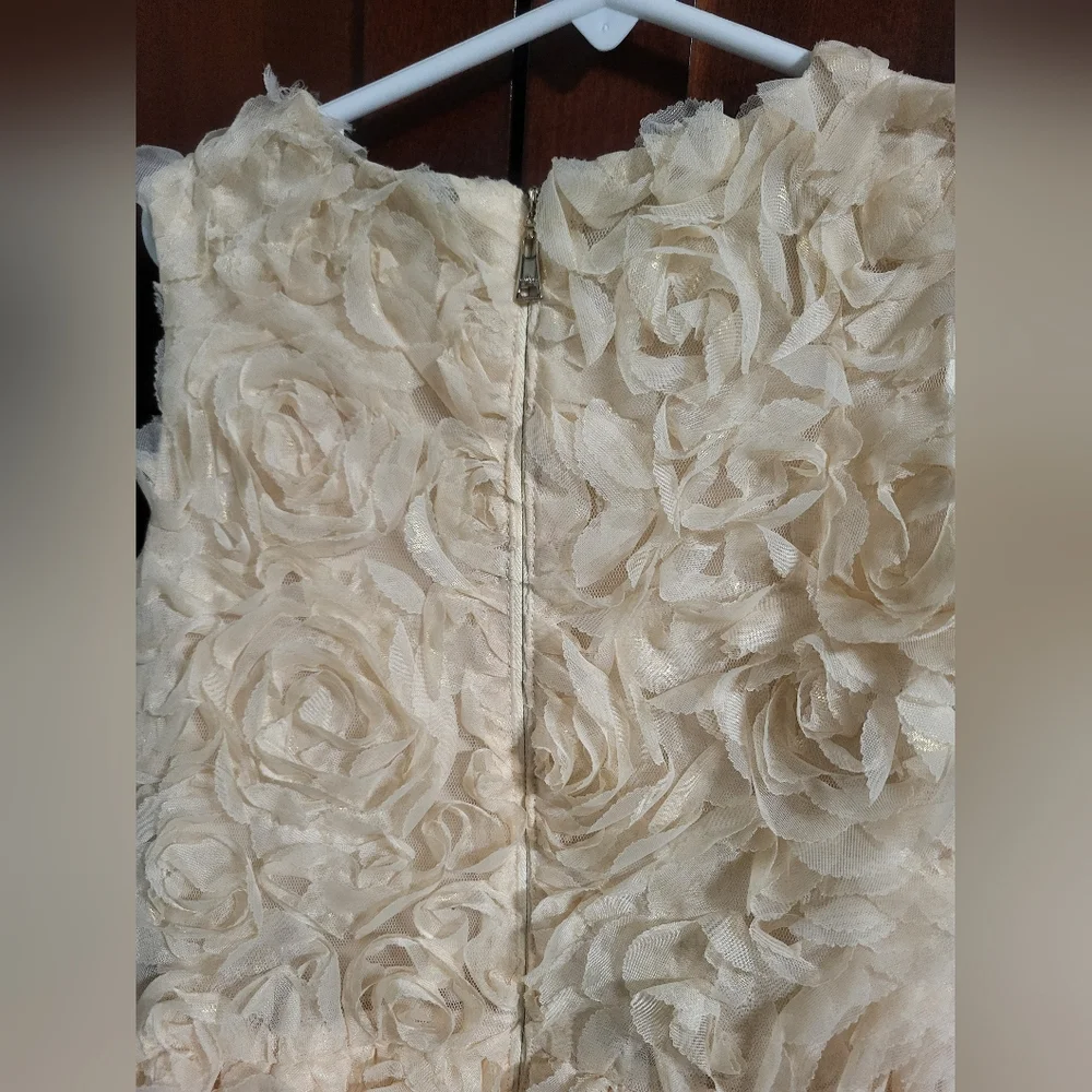 Flower Girl Dress, Roses Gold , PartyDres size 8 - Picture 10 of 14